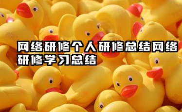 网络研修个人研修总结 网络研修学习总结