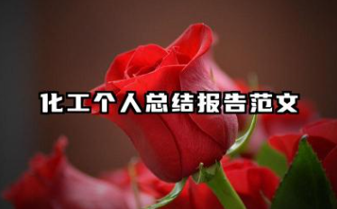 化工个人总结报告范文 化工年终个人工作总结