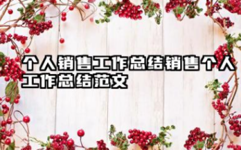 个人销售工作总结 销售个人工作总结范文