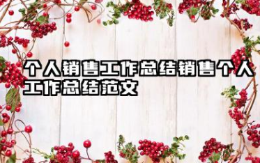个人销售工作总结 销售个人工作总结范文