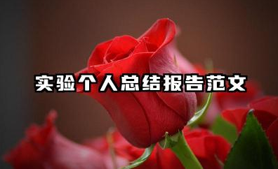 实验个人总结报告范文 实验报告个人心得体会