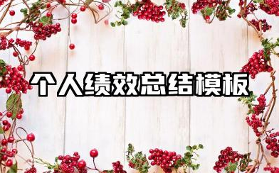 个人绩效总结模板 个人绩效考核工作总结