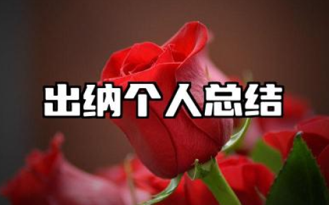 出纳员个人工作总结范文 出纳个人工作总结与自我评价