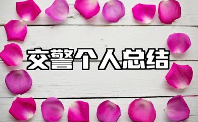 交警个人总结简短范文 交警简单个人工作总结