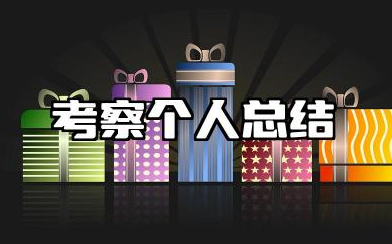 考察个人总结范文 单位考察个人总结范文
