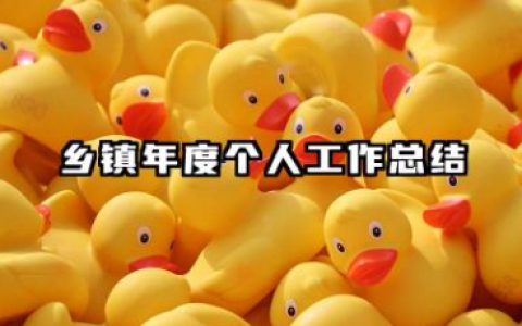 乡镇年度个人工作总结 乡镇年度个人工作总结范文