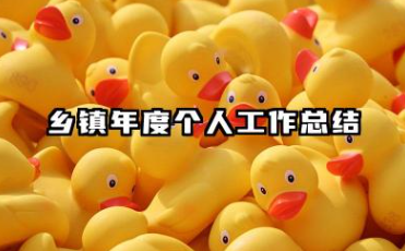 乡镇年度个人工作总结 乡镇年度个人工作总结范文