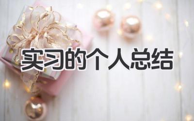 实习的个人总结 实习阶段个人实践总结