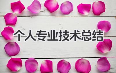 个人专业技术总结 个人专业技能总结