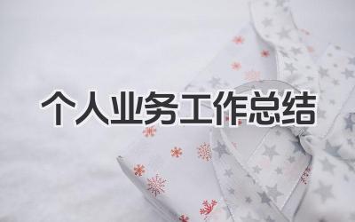 个人业务工作总结 业务工作个人成果总结