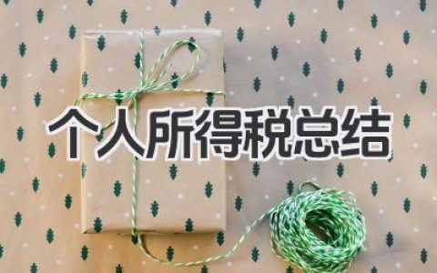 个人所得税总结 个人所得税年度总结​