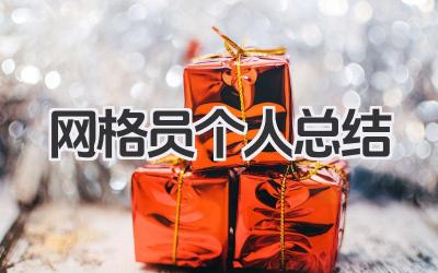 网格员个人总结 网格管理工作个人总结​