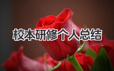 校本研修个人总结 校本研修工作个人总结