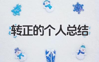 转正的个人总结 转正申请个人总结