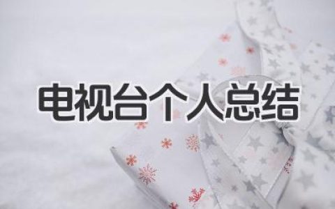 电视台个人总结 电视台工作个人总结​