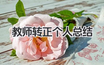 教师转正个人总结 教师转正工作个人总结