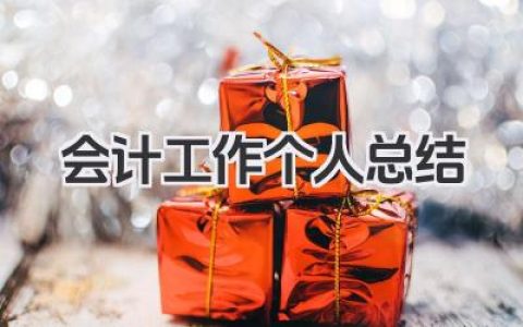 会计工作个人总结 会计岗位工作个人总结​