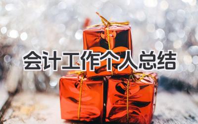 会计工作个人总结 会计岗位工作个人总结