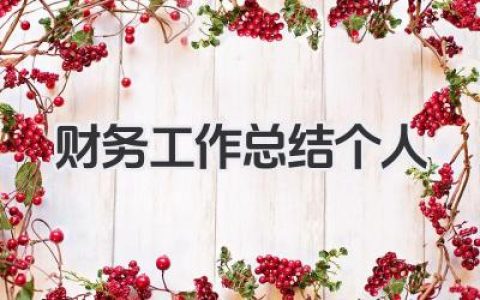 财务工作总结个人 财务工作个人成果总结​