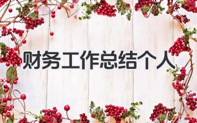 财务工作总结个人 财务工作个人成果总结