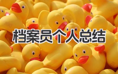 档案员个人总结 档案管理岗位个人工作总结