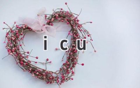 icu 护士个人总结 ICU 护理工作个人总结​