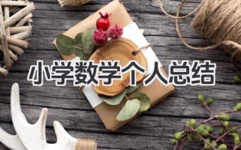 小学数学个人总结 小学数学教学工作个人总结​