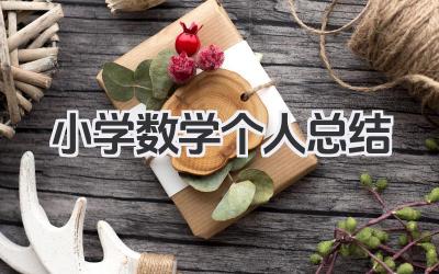 小学数学个人总结 小学数学教学工作个人总结