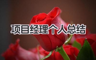 项目经理个人总结 项目经理工作成果与经验提炼