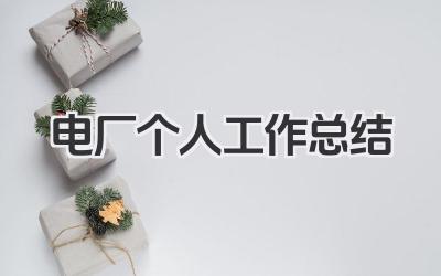 电厂个人工作总结 发电厂个人工作回顾与反思
