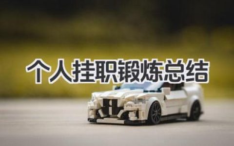 个人挂职锻炼总结 挂职锻炼期间个人工作总结​