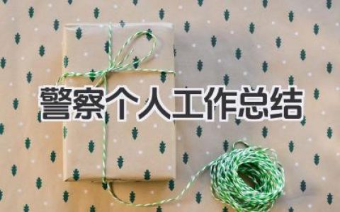 警察个人工作总结 公安民警个人工作情况总结​
