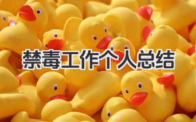 禁毒工作个人总结 禁毒工作个人履职情况与成效总结