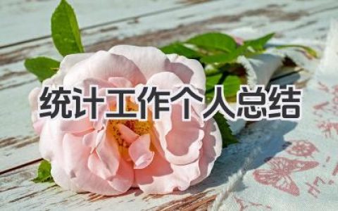 统计工作个人总结 统计岗位个人工作成果与反思​