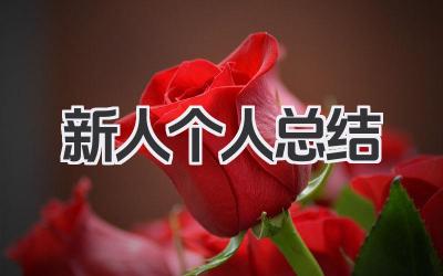 新人个人总结 新人工作小结