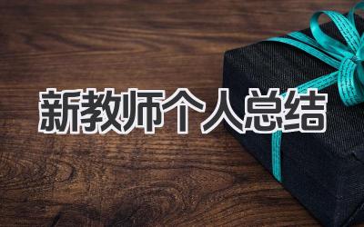 新教师个人总结 新教师工作小结