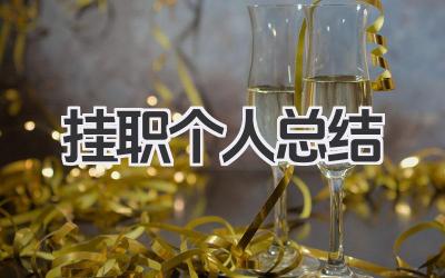 挂职个人总结 挂职工作小结