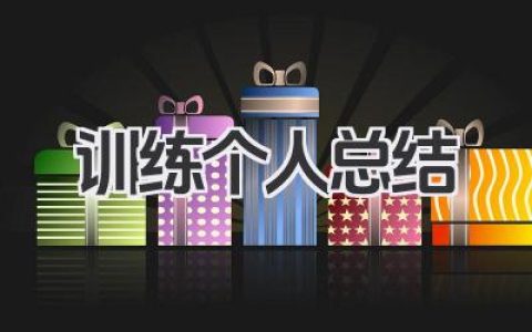 训练个人总结 训练学习小结​