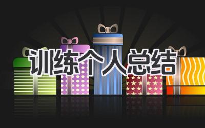训练个人总结 训练学习小结