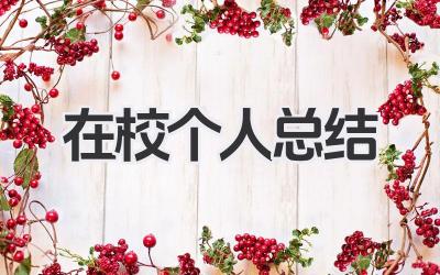 在校个人总结 在校学习小结