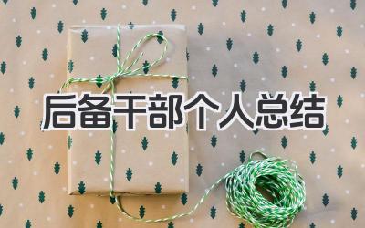 后备干部个人总结 后备干部工作小结