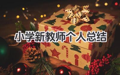 小学新教师个人总结 小学新教师工作小结