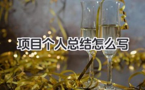项目个人总结怎么写 项目总结怎么写​