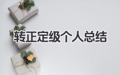 转正定级个人总结 转正定级工作小结​