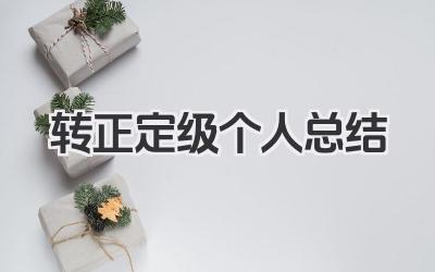转正定级个人总结 转正定级工作小结
