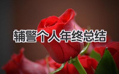 辅警个人年终总结 辅警年终工作小结