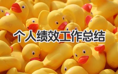 个人绩效工作总结 个人绩效工作小结
