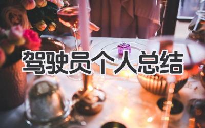 驾驶员个人总结 驾驶员工作总结