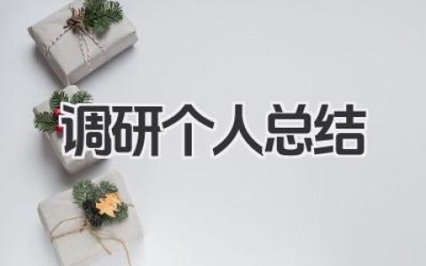 调研个人总结 调研工作总结​