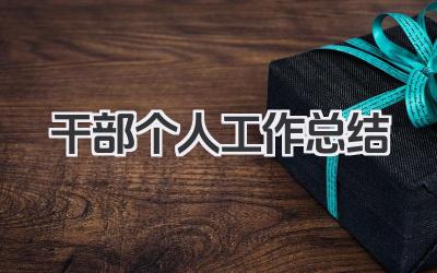 干部个人工作总结 干部工作总结​